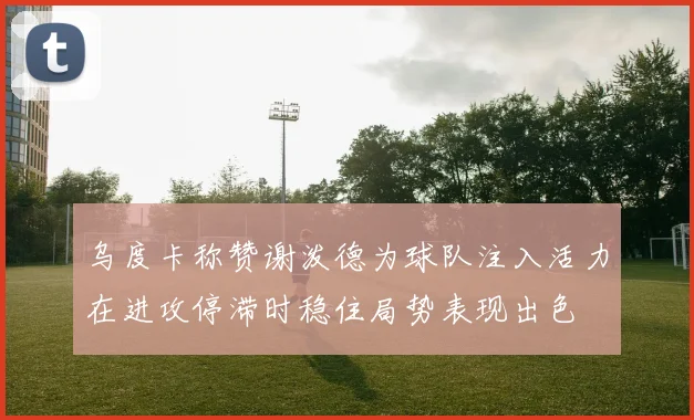 乌度卡称赞谢泼德为球队注入活力在进攻停滞时稳住局势表现出色