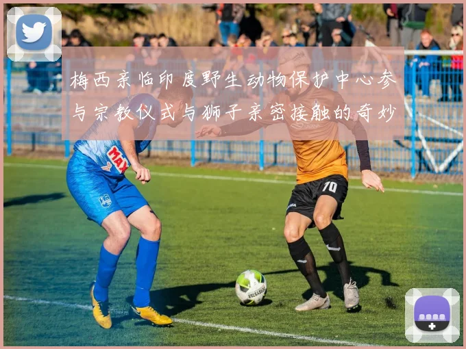 梅西亲临印度野生动物保护中心参与宗教仪式与狮子亲密接触的奇妙体验